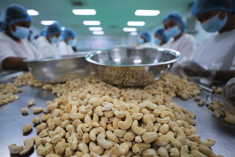 CAC expands cashew markets with key reps